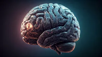 Debunking 8 Popular 'Facts' You Thought Were True: Prepare to Be Amazed!