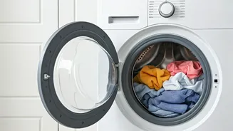 Washing Machine Wonders: Capacity Guide for Indian Homes
