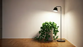 Decorate Empty Rental Corners Using Devil Ivy And Floor Lamps