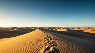 Map Eco Tours To Explore Southwest Domestic Sand Valleys