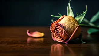 Micro-Cheating Unveiled: 5 Subtle Signs You Might Be Crossing the Line