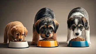 Age-Specific Nutrition Helps Pets Eat More Sensibly
