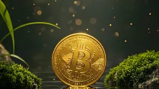 Why Indian Crypto Investors Need To Track Both Tax Rules And Regulatory Developments