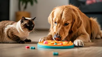 Pet Owners Swear By These Games