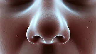 Winter Woes: Decoding Cold Air's Impact on Your Nose