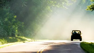 Explore Rainforest Photo Locations On A Scenic Drive From Bangalore To Agumbe