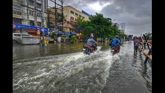 Monsoon Progress Update: Rain Expected in Kerala and Northeast India