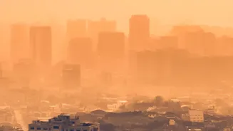 Why High Air Pollution Readings Directly Impact Daily Cognitive Focus Stamina And Emotional Regulation