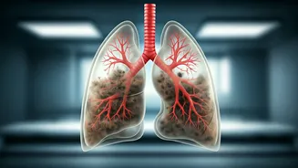 Air Pollution's Deadly Grip: Health Crisis in Delhi