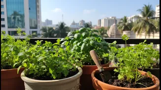 Why Bengaluru Balcony Gardeners and First-Time Plant Parents Need Better Guidance on Balcony Herbs