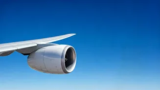 Indigo Airlines: DGCA's Inspector Suspension Explained