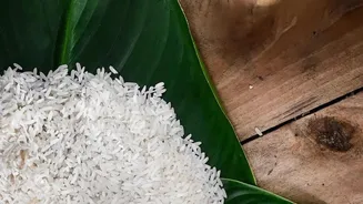 A Better Way To Read The Rice Prices And Conflict Story For Household Financial Planning