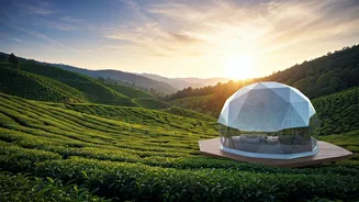 Sleep Under Clouds Inside Trendy Geodesic Glamping Tea Estate Pods