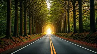 Green Roads Make Short Trips Feel Cinematic