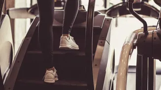 Treadmill walking v/s stair descent: Which is better for knees?