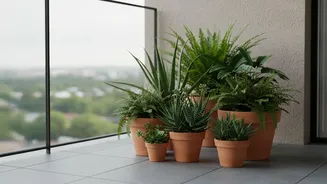 Protect Balcony Plants without Blocking Drainage or Ventilation