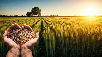 Related Stories banner