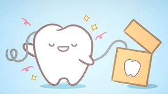 Why Pet Dental Health Deserves The Same Attention As Food, Vaccines And Regular Veterinary Visits