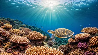 Andaman Diving Is The Chill Adventure Flex