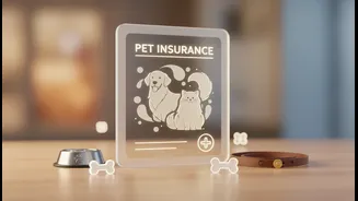 Insurance terms and exclusions need careful reading: a key limit for India's Premium Pet Economy