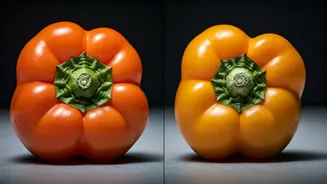 Unlock the Secret: How Capsicum Bumps Reveal the Perfect Choice for Your Dish!