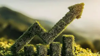 Inside Indian Sustainable Agriculture Bonds: Checking How Green Proceeds Are Used