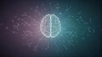 Related Stories banner