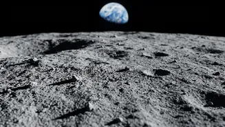 Bacteria May Survive the Moon by Entering a Dormant State
