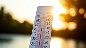 Goa's Capital Swelters: Why 32°C Feels Like a Scorching 41°C Amidst High Humidity