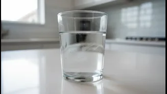 How Visual Cleanliness Misleads Indian Homeowners About Domestic Drinking Water Quality This Monsoon