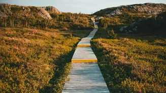 You must explore these bog boardwalks in Estonia