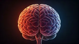 Success: Train Your Brain, Says Psychologist