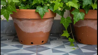 How to Reduce Standing Water Around Balcony Pots During Heavy Rain