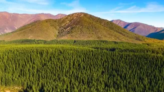 India's Forest Landscapes May Change As Rainfall Patterns Continue To Evolve