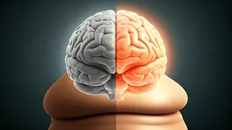 Midlife Belly Fat Reduction Slows Brain Shrinkage & Boosts Cognition: Landmark Study