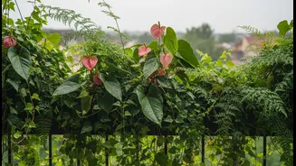 Want Greener Spaces? Try These Monsoon Plants