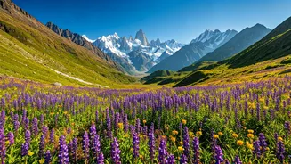 Uttarakhand's Most Photogenic Trek Has Returned