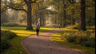 Over Time, a Park Walk Can Support Recovery without Replacing Strength Training