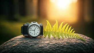 Weekend Digital Detox Is Gaining Momentum