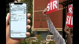 Delhi SIR Draft Voter List: How To Check Your Name On Electoral Roll, Follow These Steps