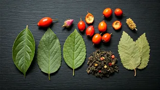 5 Teas for Heart Health: Sip Your Way to Wellness
