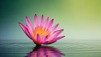 Unlocking True Happiness: Thich Nhat Hanh's Wisdom on Letting Go