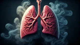 Smoking & Air Pollution: Your Lungs' Worst Enemies in the Fight Against Tuberculosis