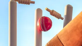 Cricket matches that ended in the most unusual ways
