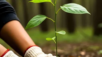 Why Repotting Indoor Plants At The Right Time Protects Root Health And Boosts Growth