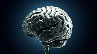 Sleep's Secrets: How 5 Minutes Can Save Your Life