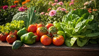 Decorative Experiments Can Wait, Veggies Are In