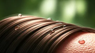 Scalp Serums Form Essential Defense Layer Against Humidity Breakage