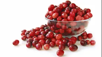 Cranberry: estudo aponta efeito aliado no tratamento de infecção urinária