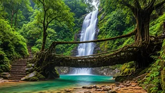 Nature Lovers Can't Miss Meghalaya This Rainy Season